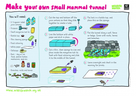 Make a small mammal tunnel